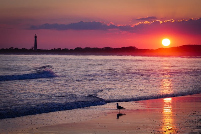 The Best Day Trips across New Jersey